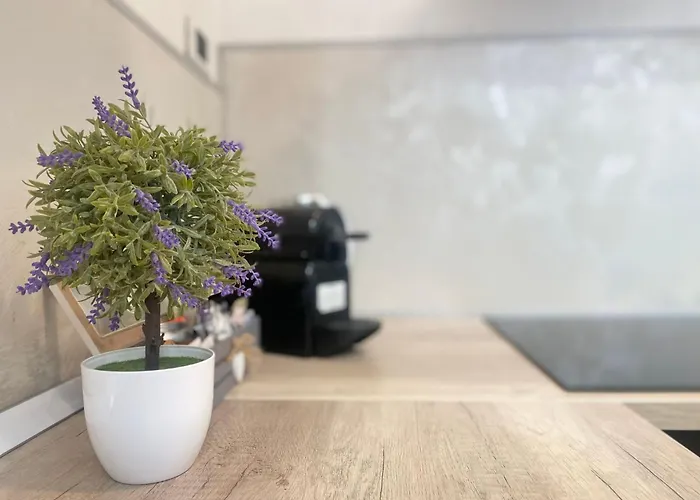 In Mit Kostenloser Privatgarage By Interhome